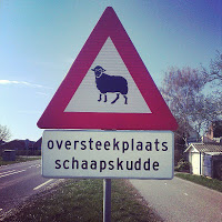 Verkeersbord oversteekplaats schaapskudde