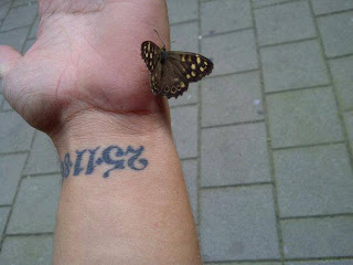 Vlinder op de hand van Patrick